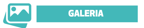 mockup_site_olhaoai-28